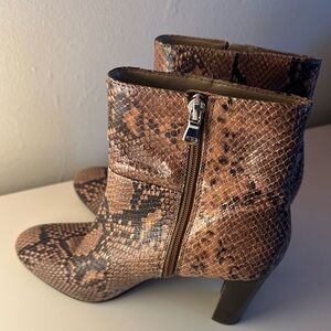 Ann Taylor snakeskin booties